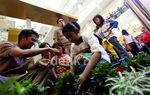 Disini Anak-anak Bisa Belajar Mengenal Alam
