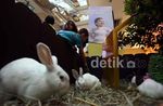 Disini Anak-anak Bisa Belajar Mengenal Alam