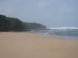 Menghirup Udara Pantai Paling Perawan di Ujung Kulon