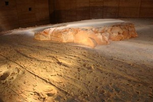 Ada 3.300 Jejak Dinosaurus di Lark Quarry Dinosaur Trackways
