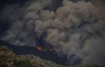 Ribuan Hektar Hutan di California Terbakar