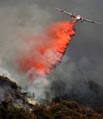 Ribuan Hektar Hutan di California Terbakar