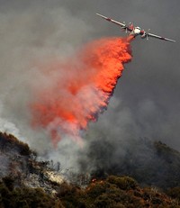 Helikopter dikerahkan untuk memadamkan api. Reuters/Gene Blevins.
