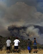 Ribuan Hektar Hutan di California Terbakar