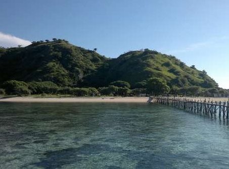 Petualangan di Taman Nasional Komodo Dimulai dari Sini
