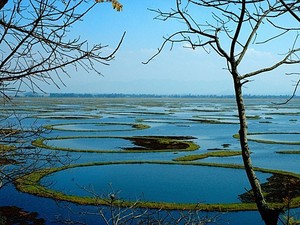 Unik! India Punya Pulau-pulau yang Bergerak Sendiri