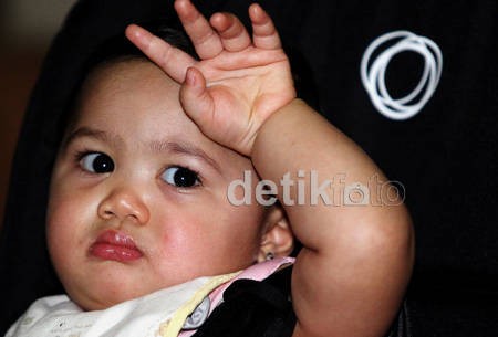 Raul Lemos Senang Merah Muda, Tema Pesta Ultah Amora Pink Rabbit