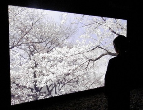 9 Gadget Tercanggih di Pesta Elektronik Eropa