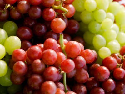 Badan Karantina Curigai 10 Kontainer Buah Anggur Asal China Beracun