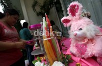 Perayaan ulang tahun Ariannha Amora Lemos akan digelar sore ini di kediaman KD dan Raul di kawasan Jeruk Purut, Jakarta Selatan.