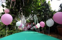 Acara ulang tahun Amora dipenuhi dengan balon-balon berwarna pink.