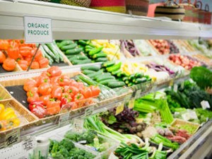 Ternyata Makanan Organik Sama Nutrisinya Dengan Makanan Biasa