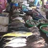 Kementerian Kelautan: Impor Ikan Dihalalkan!