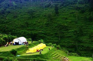 Kemping Seru di Lereng Gunung Ungaran, Ini Dia Tempatnya!