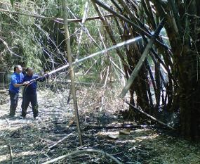 Salat Jumat Batal Gara-gara Kebun Bambu Terbakar