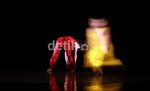 Kreativitat Dance Indonesia Kembali Beraksi