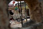 Olah TKP Usai, Jalan Nusantara Kembali Dibuka
