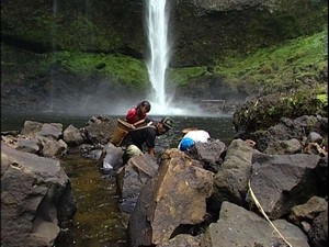 Mendulang Harta Kekayaan Bengkayang