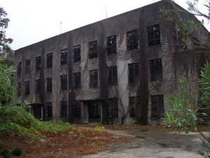 Hati-hati! 3 Pulau Ini Beracun