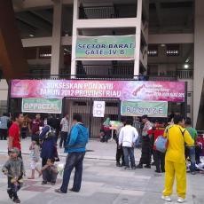 Stadion Utama Mulai Ramai, Seorang Peterjun Payung Nyangkut di Atap