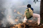 Kemarau, Tanaman Kering Mudah Terbakar