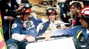 5 Anjing Heroik Saat Tragedi 9/11