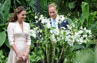 William dan Kate melihat-lihat bunga di Singapore Botanical Gardens. (Willy Anthony Pukarta).
