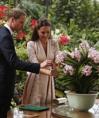William dan Kate tampak melihat-lihat bunga di Singapore Botanical Gardens, Singapura. Danny Lawson - Pool/Getty Images.