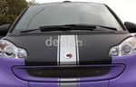Modif ala smart fortwo