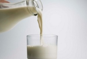 Lemak Susu Dapat Memicu Penyakit Radang Usus