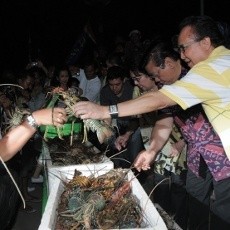 Yummy, Ada Pesta 2012 Lobster Bakar di Morotai