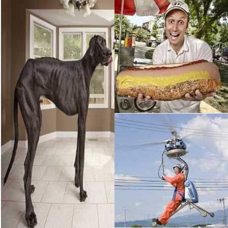 10 Rekor Terbaru & Aneh di Guinnes World Records