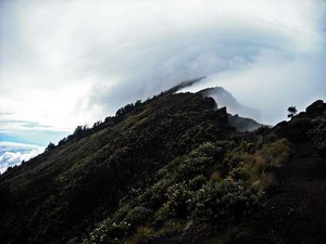 100 Hektar Padang Savana Taman Nasional Gunung Rinjani Terbakar