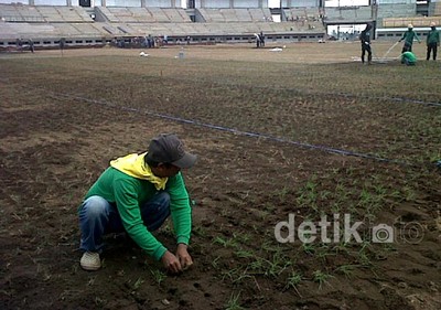 Rumput Stadion Gedebage Mulai Dipasang