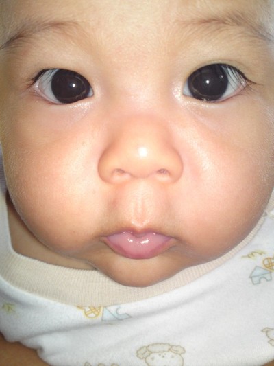 Daffa Ayatullah Muhammad, 2,6 Tahun, Lelaki