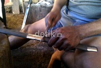 Darwin mengerjakan pedang pesanan Danrem setempat seharga Rp 2,5 juta.