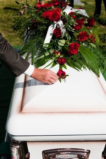 Begitu Cantik Tapi Begitu Mematikan