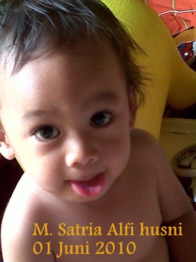 Muhammad Satria Alfi Husni, 2,3 Tahun, Lelaki