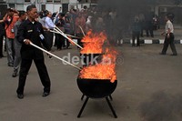 Pemusnahan dilakukan dengan cara dibakar dalam 4 tong ukuran besar besar yang disediakan.