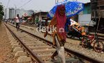 Melihat Aktivitas Warga Kampung Kumuh