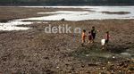 Kemarau Panjang, Setu Babakan Mengering