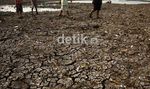 Kemarau Panjang, Setu Babakan Mengering