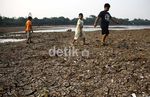 Kemarau Panjang, Setu Babakan Mengering