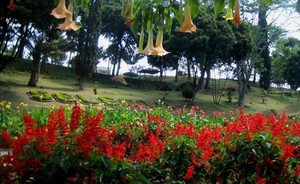 Liburan Bertabur Bunga di Selecta Malang