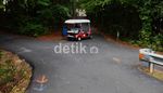 Peachtree City, Surga Bagi Pengguna Mobil Golf