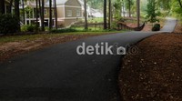 Pemandangan di jalur itu luar biasa! Hutan pinus dan pepohonan lain, danau, rumah-rumah kayu di tengah hutan dan, ini penting, udaranya sangat segar!