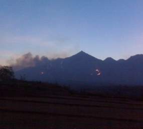 Kebakaran Hutan di Gunung Arjuna Kian Menghebat