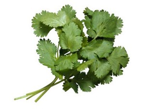 Inilah Penyebab Banyak Orang Benci Daun Ketumbar