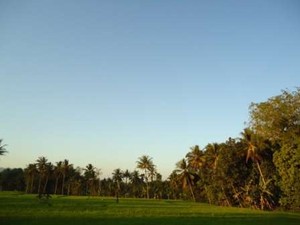 Keren! 4 dari 10 Desa Wisata Terbaik Berasal dari Yogyakarta