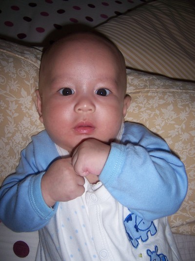 Ibrahim Zhafran Yustama, 1,2 Tahun, Lelaki